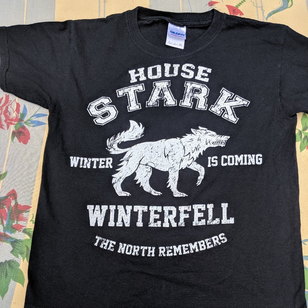Game of Thrones House of Stark Youth Small